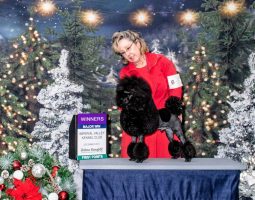 A woman in a red outfit stands with a black poodle on a table at a dog show, next to a winner's sign.
