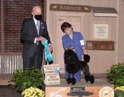Two people present a black poodle that won "Best in Show" at the 2020 Valley of the Sun Poodle Club event.