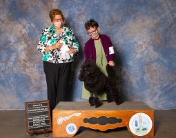 Two women stand with a black poodle on a platform at a dog show, with award signs displayed to the left.