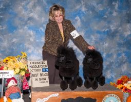 A woman stands behind two black poodles on a platform with a sign reading "Best Brace in Show, October 2021.