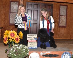 Two women stand with a black poodle, award ribbons, and a sign for an AKC dog show victory at Arrowhead Kennel Club.