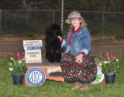 A woman sits beside a black poodle and a sign reading "Flagstaff Kennel Club, July 2023, Winners Dog.