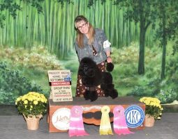 A woman stands with a black poodle beside award ribbons and a sign for a 2023 Prescott Arizona kennel club event.
