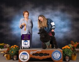Two women and a black poodle stand on a podium with "Best of Breed Winners" sign at a dog show.